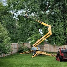 Best Leaf Removal  in Violet, LA