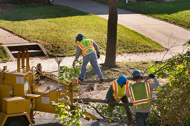 Best Weed Control  in Violet, LA